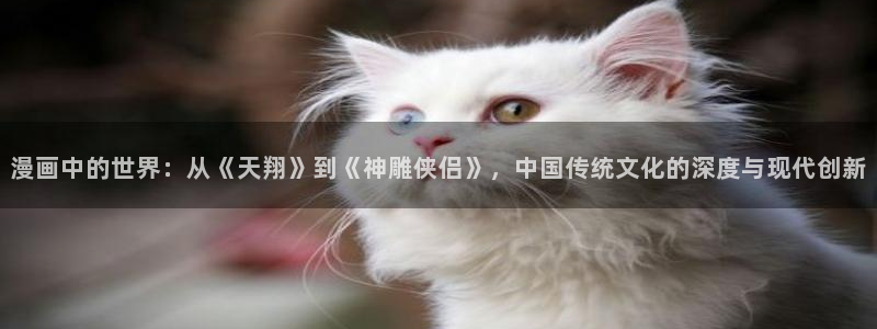 陛下是我的51漫画漫画全集免费：漫画中的世界：从《天翔》到《神雕侠侣》，中国传统文化的深度与现代创新